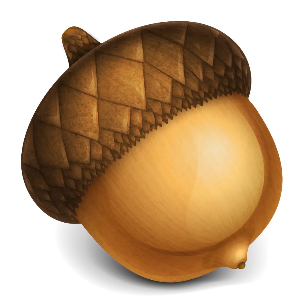 Acorn 8.1.1 轻量级图片处理软件破解版下载 | MacPJ - 最新Mac软件与游戏破解版资源下载