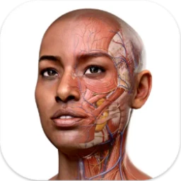 Complete Anatomy 11.0 3D人体解刨图谱学习工具破解版下载 | MacPJ - 最新Mac软件与游戏破解版资源下载