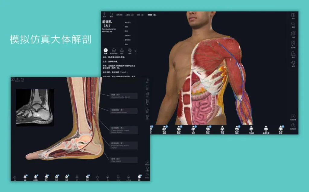 图片[1]破解版下载 | Complete Anatomy 11.0 3D人体解刨图谱学习工具破解版下载 | MacPJ - 最新Mac软件与游戏破解版资源下载