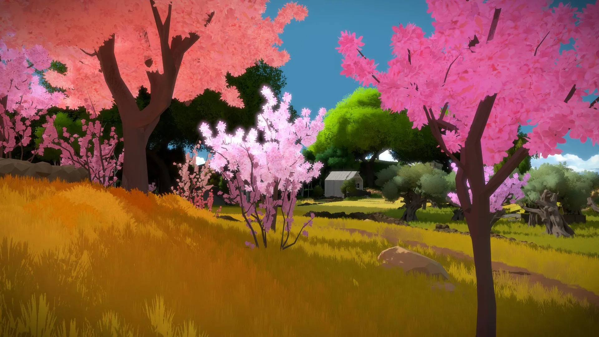 图片[1]破解版下载 | The Witness (见证者) 1.0.8破解版下载 | MacPJ - 最新Mac软件与游戏破解版资源下载