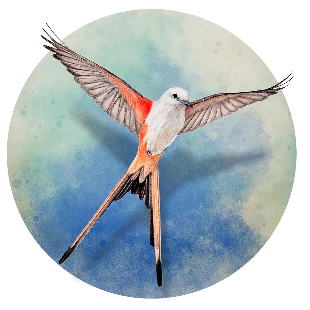 Wingspan(展翅翱翔) 233 - MacPJ - 最新Mac软件与游戏破解版资源下载破解版下载 | MacPJ - 最新Mac软件与游戏破解版资源下载