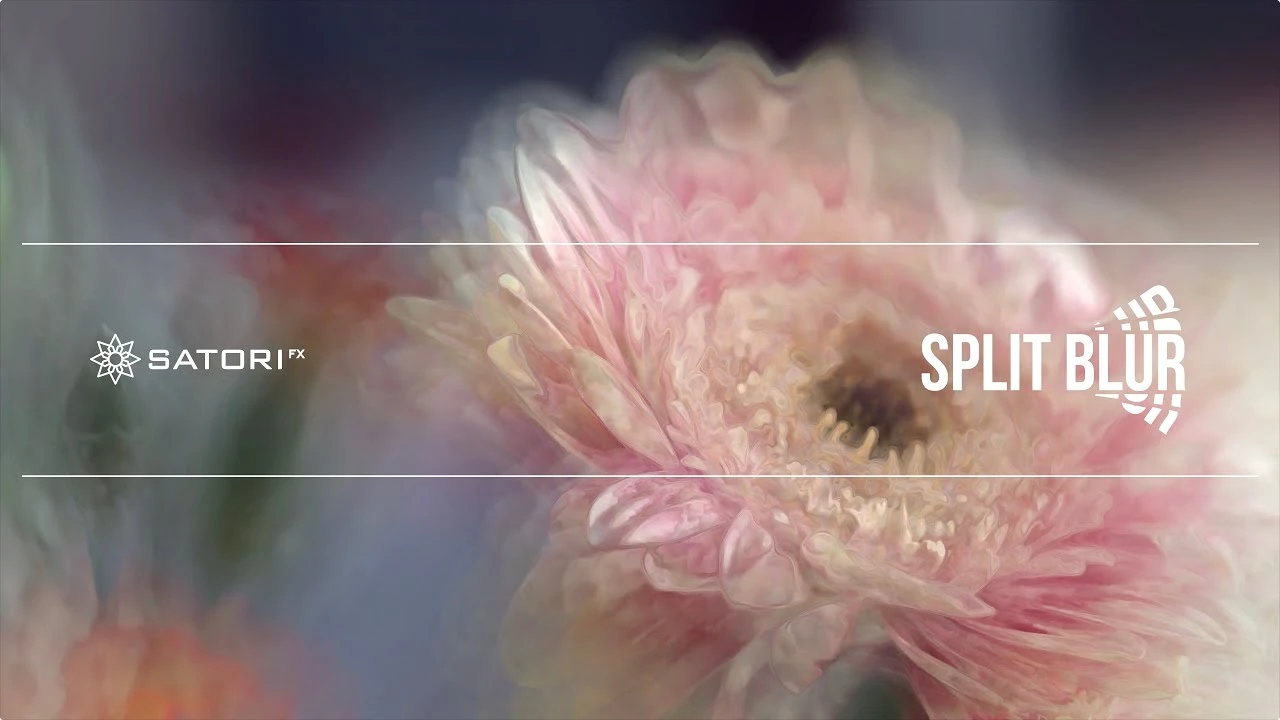 Split Blur 1.3.2 万花筒分割模糊迷幻视觉特效破解版下载 | MacPJ - 最新Mac软件与游戏破解版资源下载