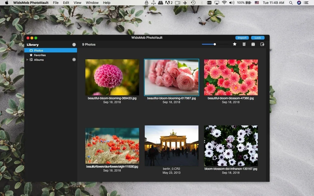 图片[1]破解版下载 | WidsMob PhotoVault 3.9 最安全的个人照片管理器破解版下载 | MacPJ - 最新Mac软件与游戏破解版资源下载