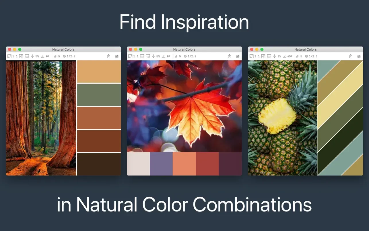 图片[1]破解版下载 | Color Palette from Image Pro 2.2.1 色彩提取与调色板编辑工具破解版下载 | MacPJ - 最新Mac软件与游戏破解版资源下载