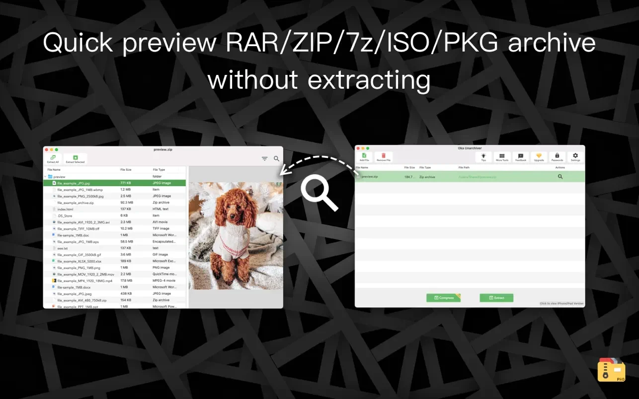 图片[1]破解版下载 | Oka Unarchiver Pro 2.1.8 文件解压缩利器破解版下载 | MacPJ - 最新Mac软件与游戏破解版资源下载