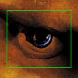 FACEMINER (面容采集者) 1.035破解版下载 | MacPJ - 最新Mac软件与游戏破解版资源下载