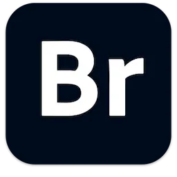 Adobe Bridge 2026 16.0.0 卓越的创意资源管理工具 - MacPJ - 最新Mac软件与游戏破解版资源下载破解版下载 | MacPJ - 最新Mac软件与游戏破解版资源下载