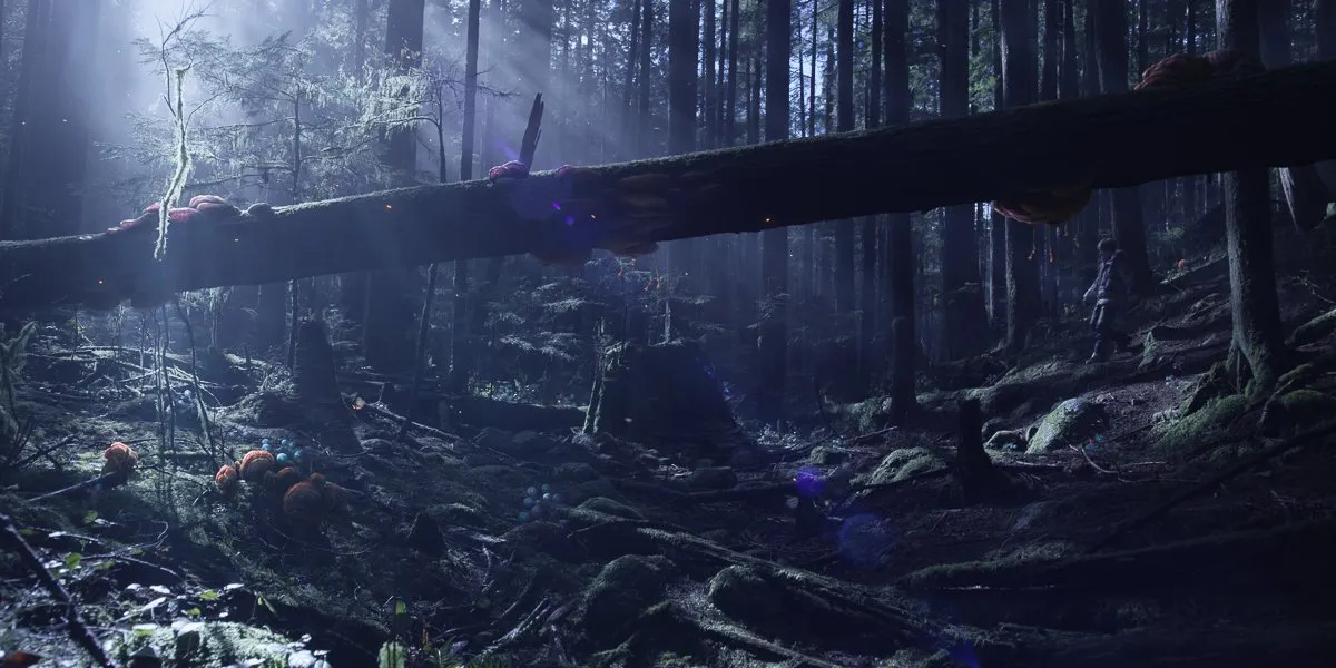 图片[1]破解版下载 | Maya 2027 3D动画与建模工具 - MacPJ - 最新Mac软件与游戏破解版资源下载破解版下载 | MacPJ - 最新Mac软件与游戏破解版资源下载