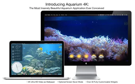 图片[1]破解版下载 | Aquarium 4K 1.1.1 令人惊叹的动态壁纸应用 - MacPJ - 最新Mac软件与游戏破解版资源下载破解版下载 | MacPJ - 最新Mac软件与游戏破解版资源下载
