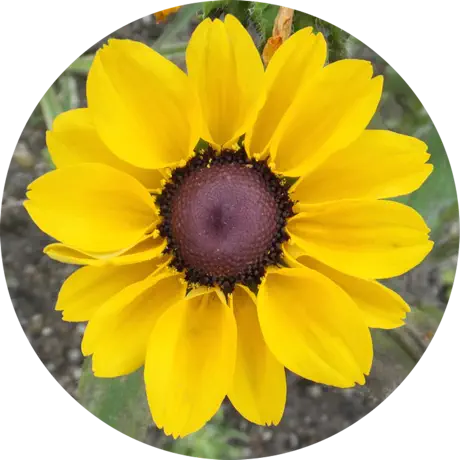 MesaExif 2.4.22 照片元数据处理工具破解版下载 | MacPJ - 最新Mac软件与游戏破解版资源下载