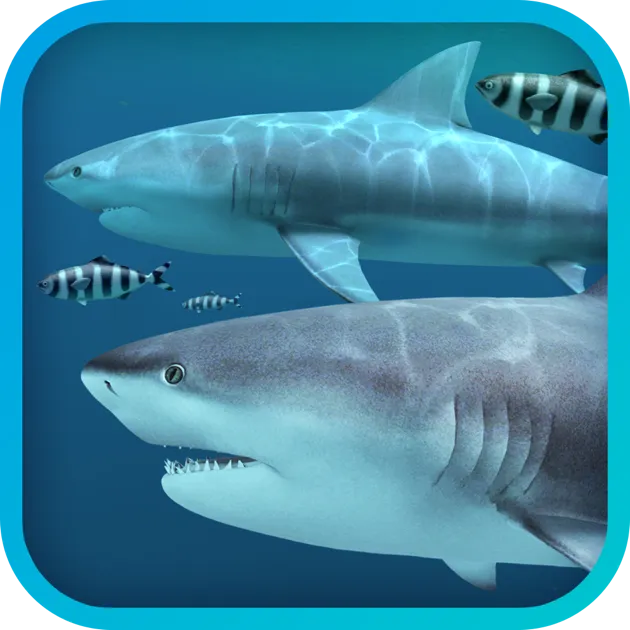 Sharks 3D 2.1.1 生动的海洋生态体验破解版下载 | MacPJ - 最新Mac软件与游戏破解版资源下载