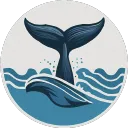 WhaleDown 2026.02.3 强大的网络视频音频下载工具破解版下载 | MacPJ - 最新Mac软件与游戏破解版资源下载