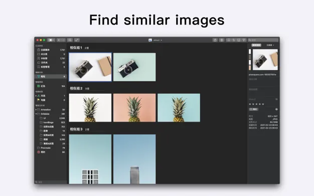 图片[1]破解版下载 | Picsee 1.7.8 轻松管理与浏览照片 - MacPJ - 最新Mac软件与游戏破解版资源下载破解版下载 | MacPJ - 最新Mac软件与游戏破解版资源下载