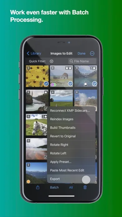 图片[1]破解版下载 | Nitro Photo 2026.02 专业级照片编辑与管理工具 - MacPJ - 最新Mac软件与游戏破解版资源下载破解版下载 | MacPJ - 最新Mac软件与游戏破解版资源下载