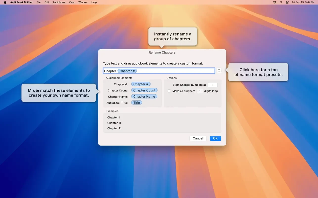 图片[1]破解版下载 | Audiobook Builder 2.2.9 高效的音频书籍转换工具 - MacPJ - 最新Mac软件与游戏破解版资源下载破解版下载 | MacPJ - 最新Mac软件与游戏破解版资源下载