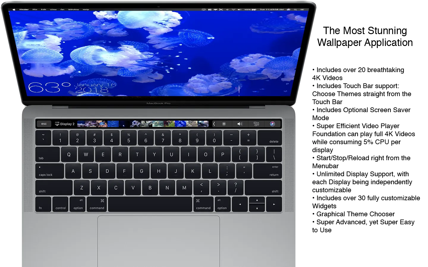 图片[1]破解版下载 | Aquarium 4K Live Wallpaper 1.1.1 极致水族馆动态壁纸 - MacPJ - 最新Mac软件与游戏破解版资源下载破解版下载 | MacPJ - 最新Mac软件与游戏破解版资源下载