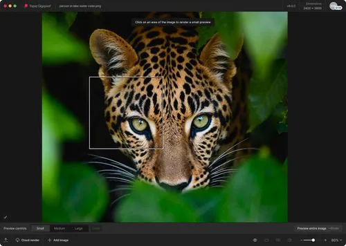 图片[1]破解版下载 | Topaz Gigapixel 1.1.3 AI图像超分辨率放大软件 - MacPJ - 最新Mac软件与游戏破解版资源下载破解版下载 | MacPJ - 最新Mac软件与游戏破解版资源下载