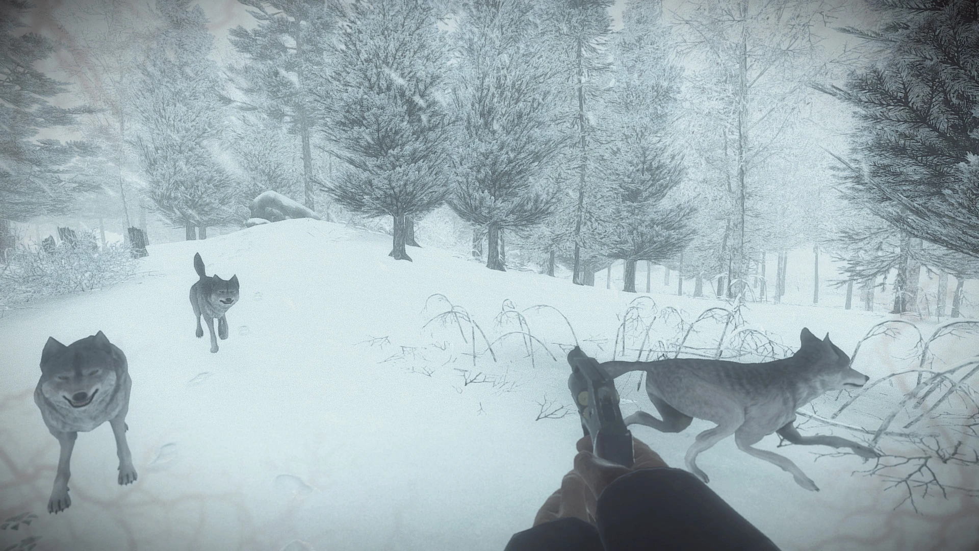 图片[1]破解版下载 | Kona(寒冬) 14034 - MacPJ - 最新Mac软件与游戏破解版资源下载破解版下载 | MacPJ - 最新Mac软件与游戏破解版资源下载