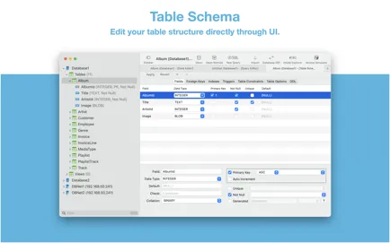 图片[1]破解版下载 | SQLiteFlow 6.8.1 直观可靠的SQLite编辑器 - MacPJ - 最新Mac软件与游戏破解版资源下载破解版下载 | MacPJ - 最新Mac软件与游戏破解版资源下载