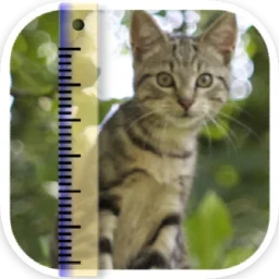 SizeMyPics 1.8.1 批量处理照片的利器 - MacPJ - 最新Mac软件与游戏破解版资源下载破解版下载 | MacPJ - 最新Mac软件与游戏破解版资源下载