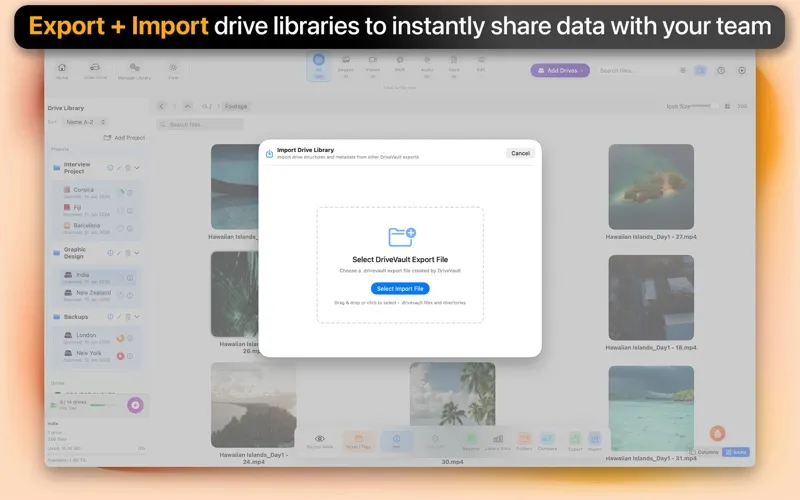 图片[1]破解版下载 | DriveVault 1.2.1 高效管理外部硬盘文件 - MacPJ - 最新Mac软件与游戏破解版资源下载破解版下载 | MacPJ - 最新Mac软件与游戏破解版资源下载